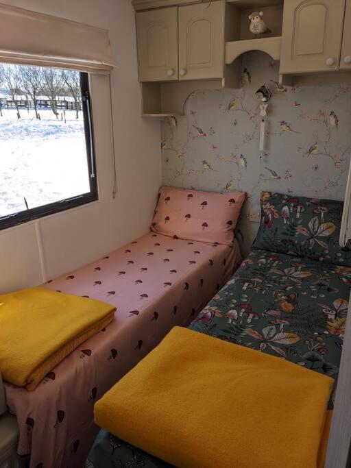 Ferny Roost Cabin. Wrexham Ngoại thất bức ảnh